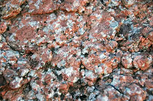 Pikes Peak Granite (Mesoproterozoic, 1.08 Ga; Ute Trail, Manitou Springs, Colorado, USA)