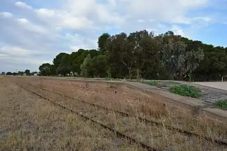 Railway line at Pinnaroo on the county's eastern flank, facing east toward Ouyen