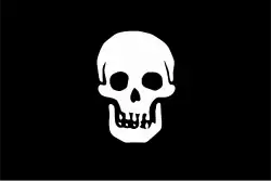 Blackbeard's flag