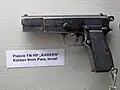 Kareen Mark I