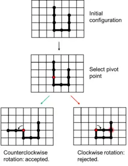Pivot algorithm on a square lattice.