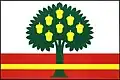Flag of Plískov