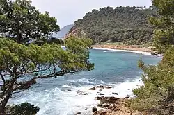 Coastline in Saint-Mandrier-sur-Mer