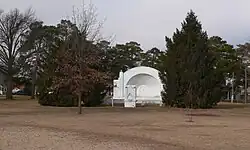 Perspective with trees