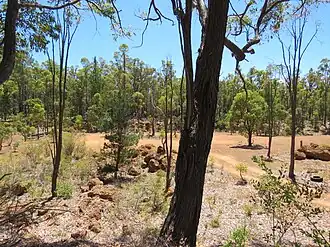 Plavins Pit, a 1960s Bauxite mining site in the locality