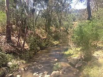Plenty River, Montmorency