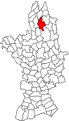 Location in Olt County