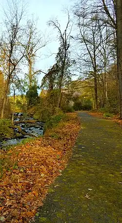 Pocantico Lake Trail