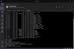 Screenshot of Podman Desktop showing a terminal of container