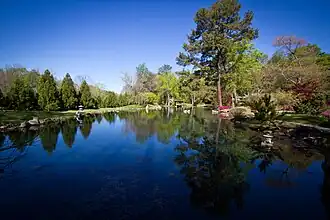 Pond in the park.