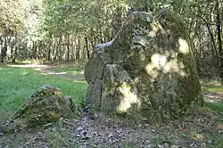 Menhir of Dames de Pierre