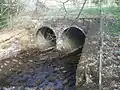 Pont Petryal