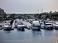Marina and La Barca Bridge