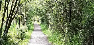 Hiking trail