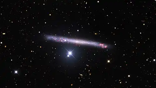 Portrait of Ngc 4565