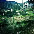 Portsmouth Community Garden