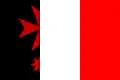 Flag of Slivenec