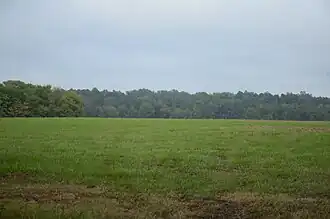 Prairie D'Ane