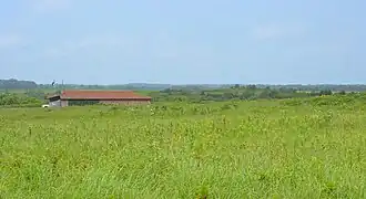 Prairie