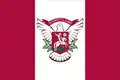 Flag of Vyshneve