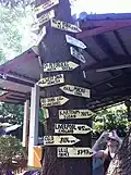 A signpost tree on campus