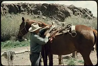Pack saddle horse on the Grayson Ranch