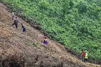 Several farmers are working on a patch of land that has been cleared. Behind them is a boundary where the land has vegetation that has not been cleared.