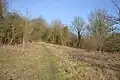 Prestwood Local Nature Reserve