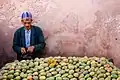 Prickly pear fruits