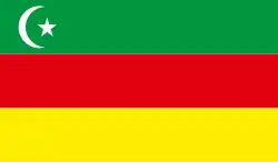 Possible proposed flag of the Alash Autonomy (1911)