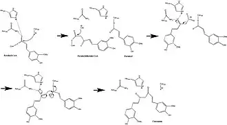 CURS1 Mechanism