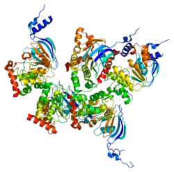 Cystic fibrosis transmembrane conductance regulatory (CFTR) protein.