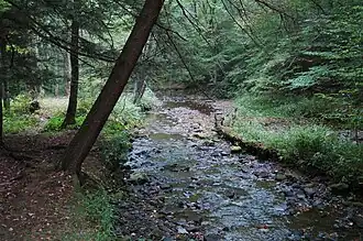 Creek