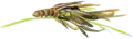 Illustrated caterpillar