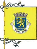 Flag of Santo Tirso
