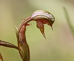 ""