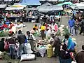 Market scene