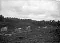 A sawmilling settlement near Mangapehi