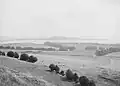 Puketutu Island (then called 'Weekes' Island') in the 1910s, before it lost most of its cones to quarrying.