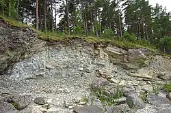 Pulli bank in Pulli