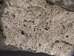 Numerous vesicles enclosed by a framework of glassy rock material, displaying the porous nature of pumice