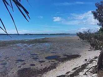 Pumicestone Passage beach, 2021