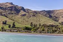 Purau