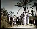 Qatifi farmers at work, 1935 – a window into agricultural life