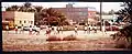 Local youth enjoying a football match, Qatif, 1978