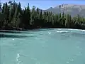The Kanas River, part of the Irtysh River to the Arctic Ocean, view from rafting boat