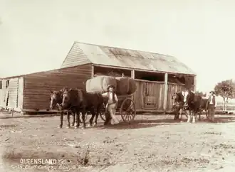 Chaff carting at Blantyre, circa 1896
