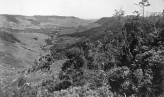 Looking across Flying Fox towards Cainbable and Tamborine, 1933