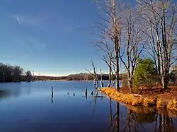Shore of a small body of water with brown grass, small shrubs, bare trees, and evergreens surrounding it