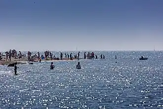 The beach